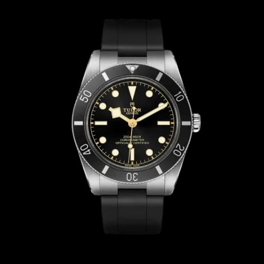 Tudor Black Bay