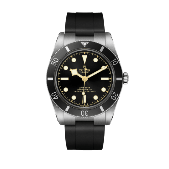 Tudor Black Bay