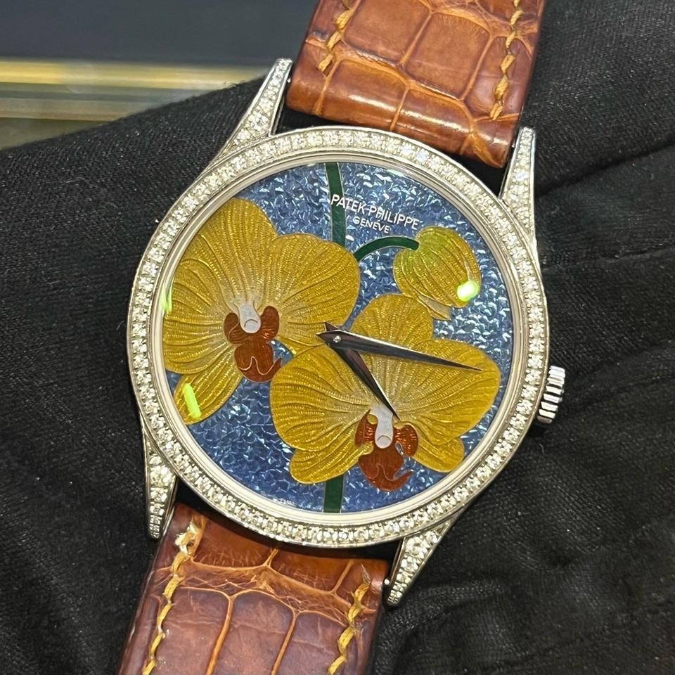 Patek Philippe Calatrava Rare Handcrafts Collection Einzeluhr, 5077P — 1 von 8