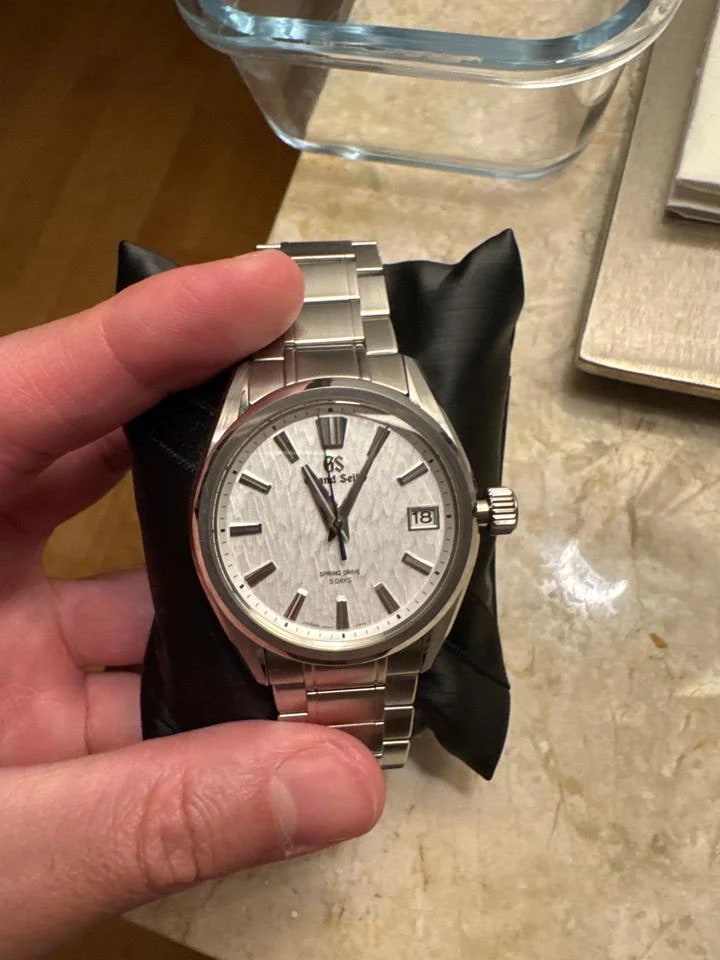 Grand Seiko Evolution 9 Collection BNIB Spring Drive White Birch — 1 von 8