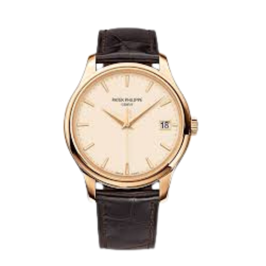 Patek Philippe Rare Handcrafts